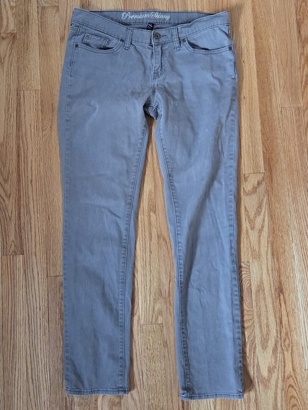 Gap Low Rise Premium Skinny Jeans From Fall 2010 Gray Tagged 10/30R